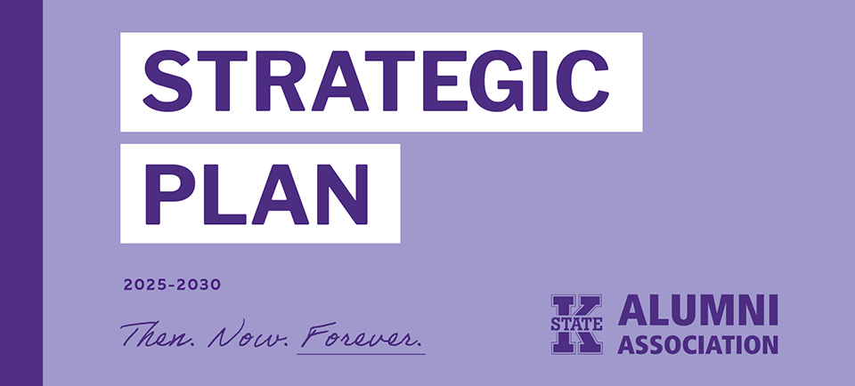 Strategic plan