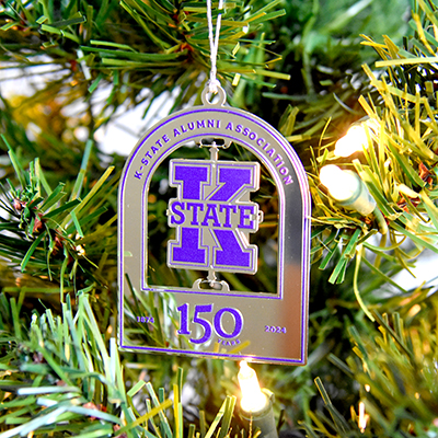 2025 Ornament