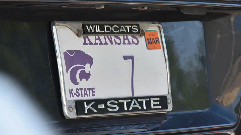 License Plate Program