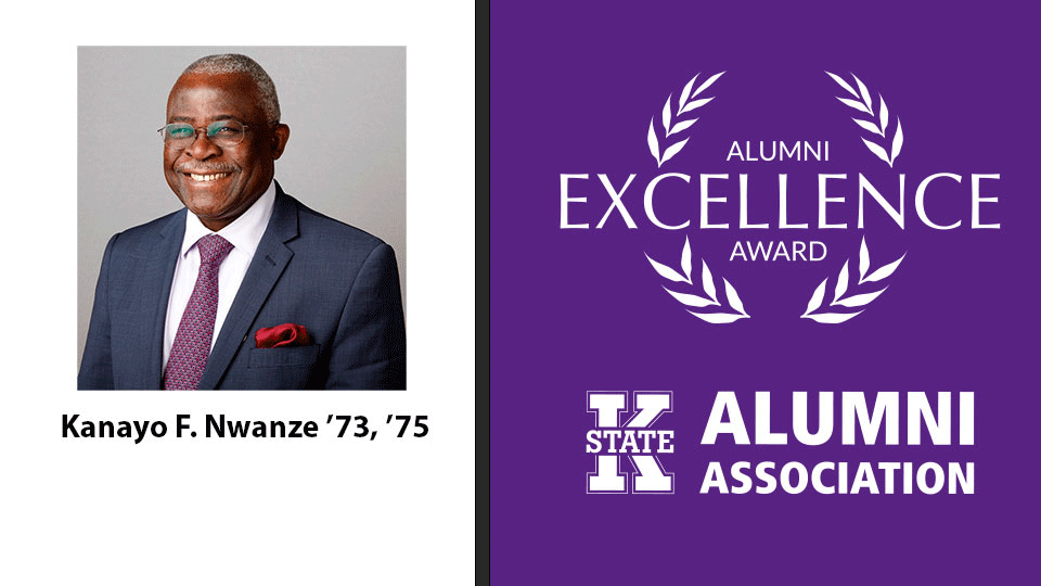 Alumni Excellence Award