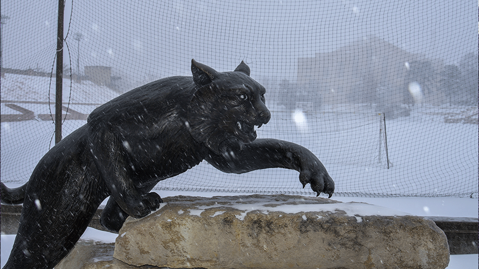 Wildcat Statue