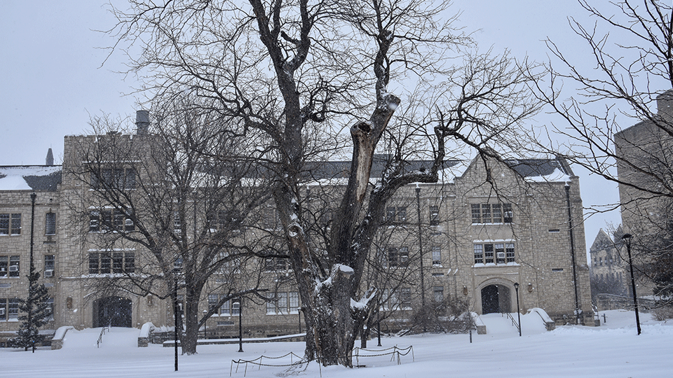 Oldest tree on campus