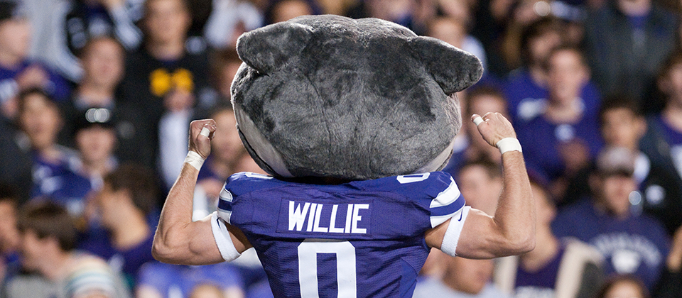 Willie the Wildcat