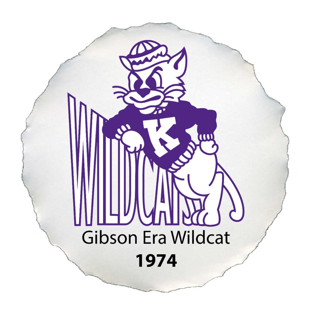 Gibson Era Wildcat